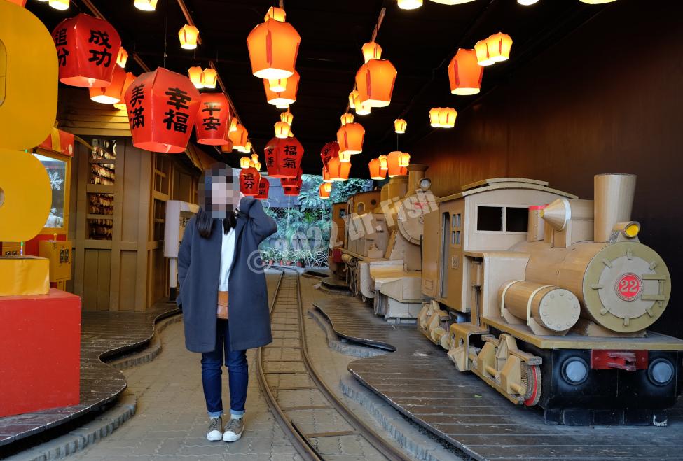 mini-train tunnel in Carton King