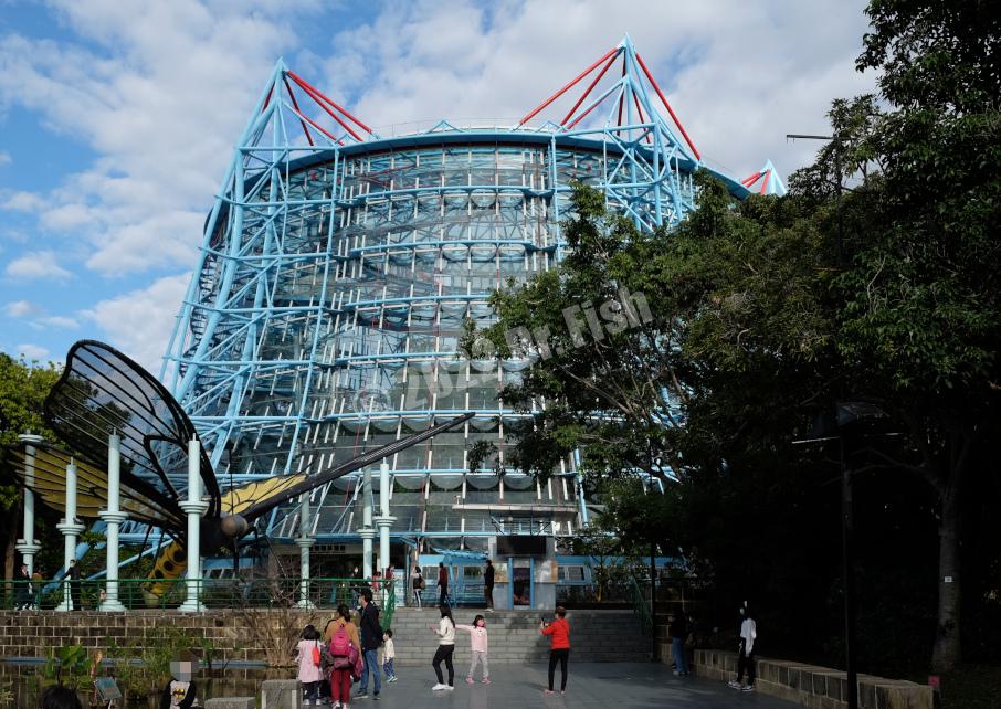 building of the Tropical Rainforest Greenhouse