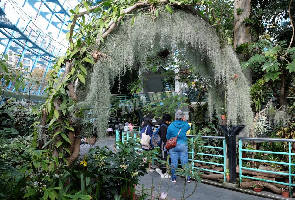 inside of Tropical Rainforest Greenhouse