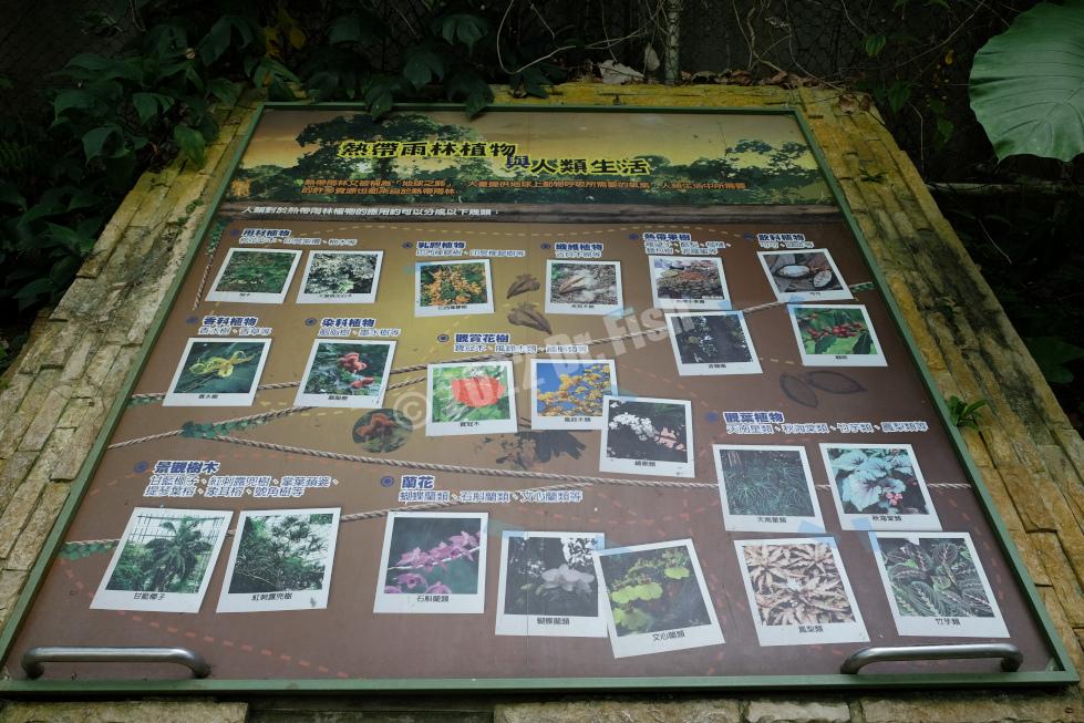 knowledge shown in the Tropical Rainforest Greenhouse