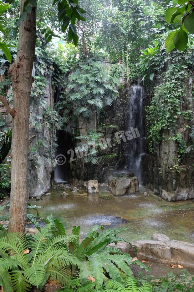waterfall in the Tropical Rainforest Greenhouse