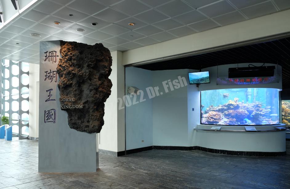 exhibition of coral kingdom in the National Museum of Marine Biology and Aquarium
