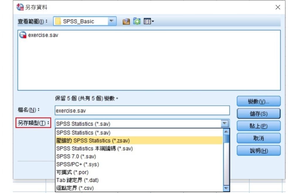 spss save as other file types
