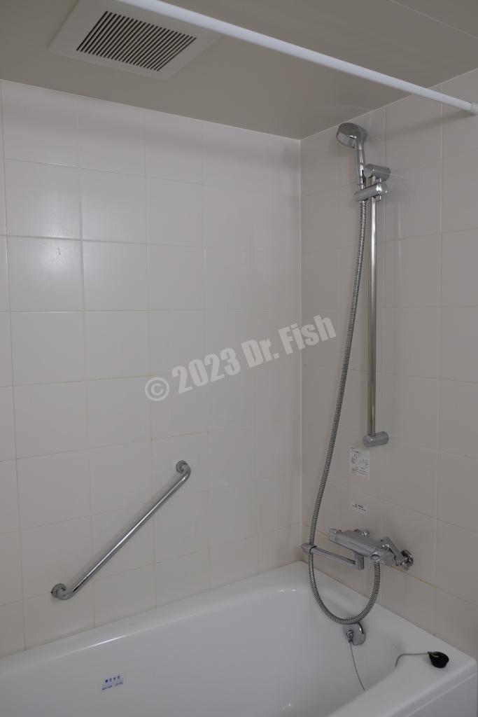 shower in the room of the HOTEL MYSTAYS Hakodate Goryokaku