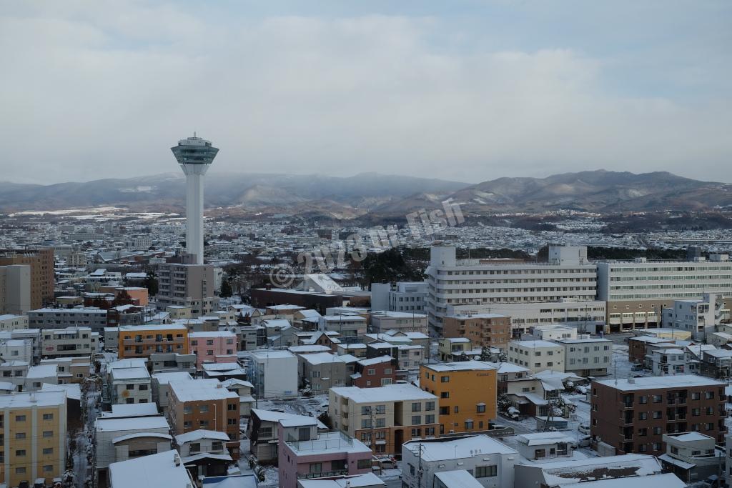 room view in the morning in the HOTEL MYSTAYS Hakodate Goryokaku