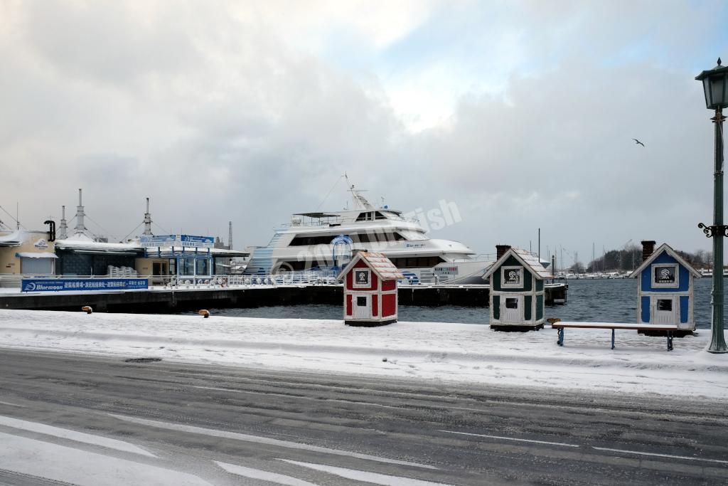 cruise ship Bluemoon in the Hakodate port