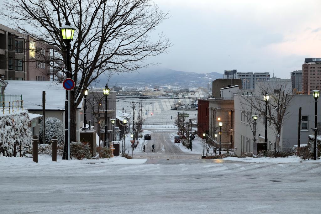 view of Hakodate port from the Hachiman Zaca slope