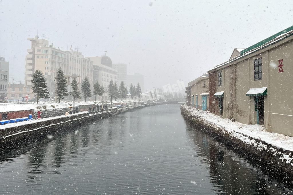 view of Otaru canal under heavy snow