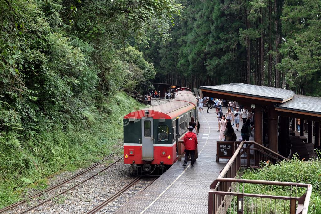 Shenmu station in the Alishan National Forest Recreation Area