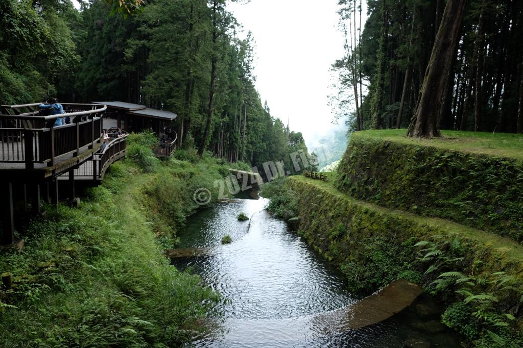 Shenyi waterfall in the Alishan National Forest Recreation Area