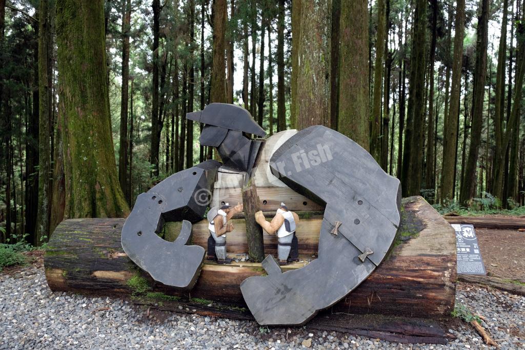 installation art in the Alishan National Forest Recreation Area