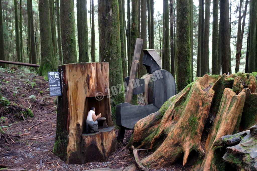 installation art of timber storage in the Alishan National Forest Recreation Area