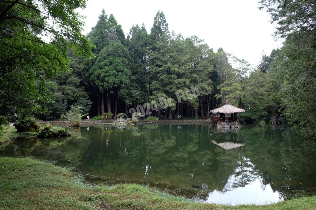 older sister pond of the sister pond in the Alishan National Forest Recreation Area