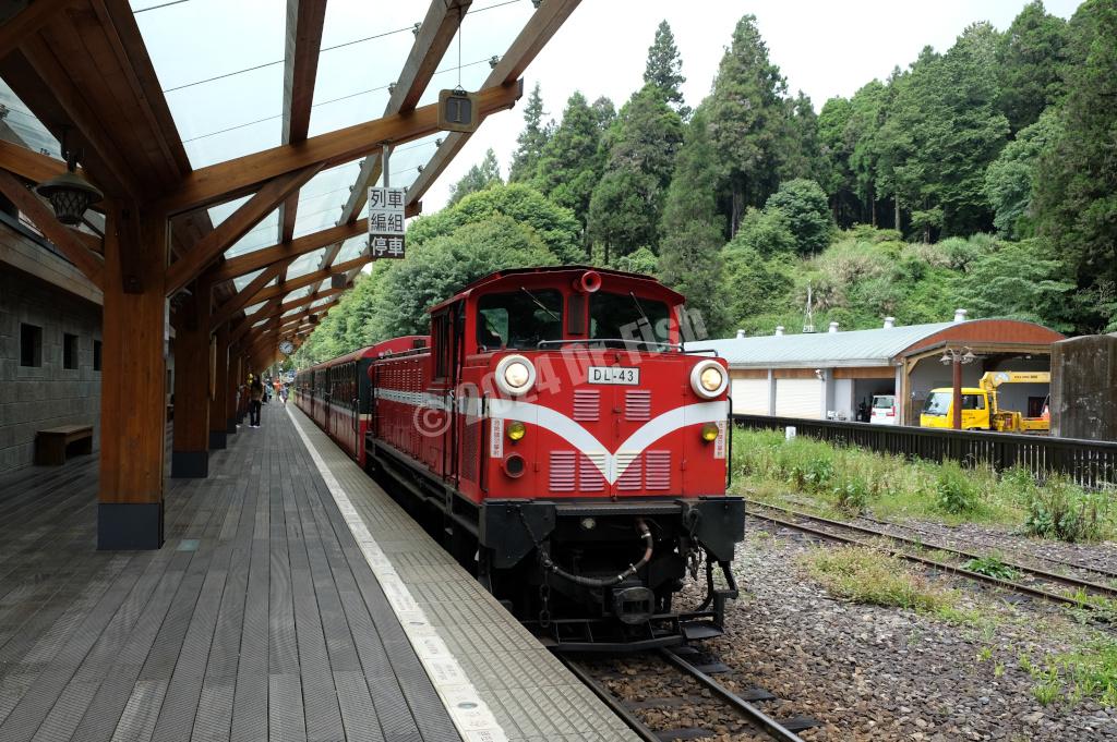 Alishan forest railway in the Alishan National Forest Recreation Area