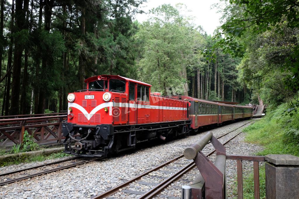 Alishan train at the Shenmu station in the Alishan National Forest Recreation Area