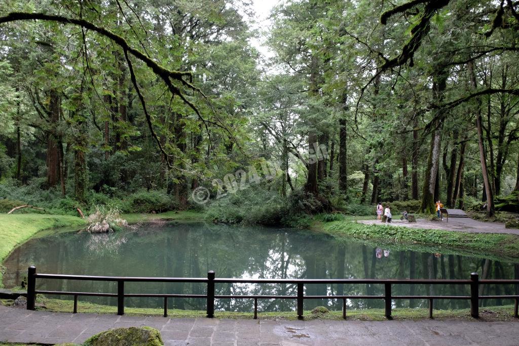 younger sister pond of the sister pond in the Alishan National Forest Recreation Area