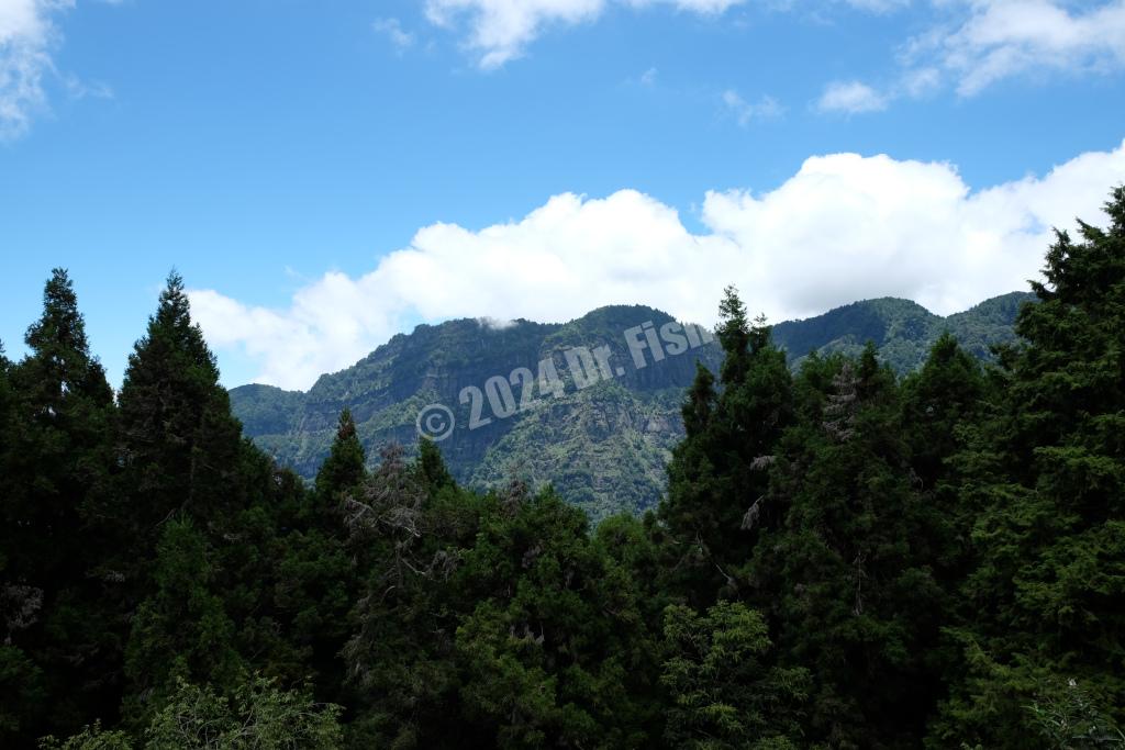 view of Mountain Ta from the Alishan Transport Station