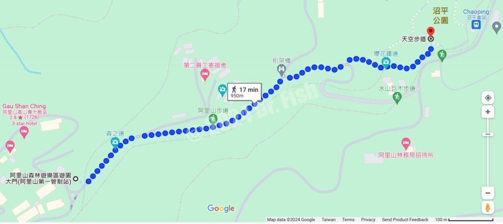 forest trail to cherry blossom trail in the Alishan National Forest Recreation Area