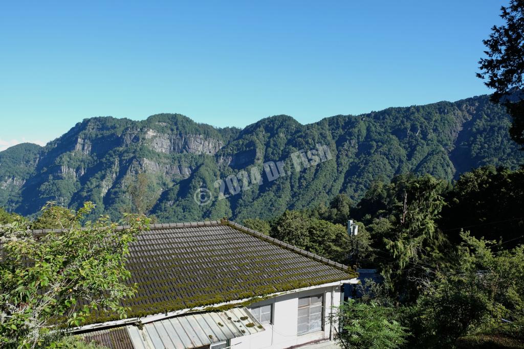 observation platform on the forest trail in the Alishan National Forest Recreation Area