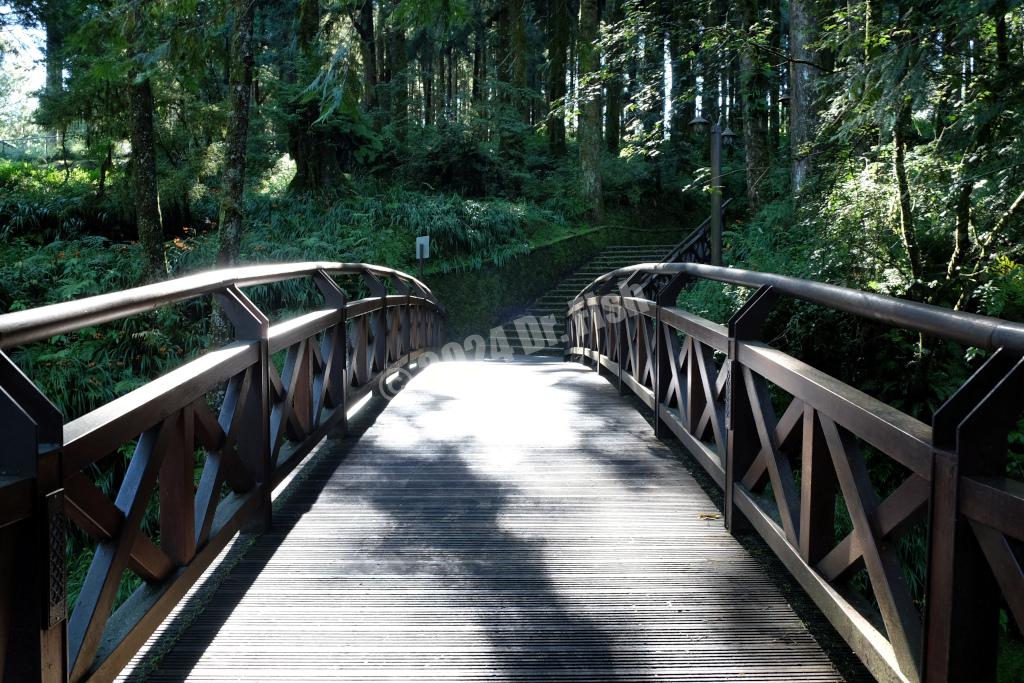 forest trail to Zhaoping park in the Alishan National Forest Recreation Area