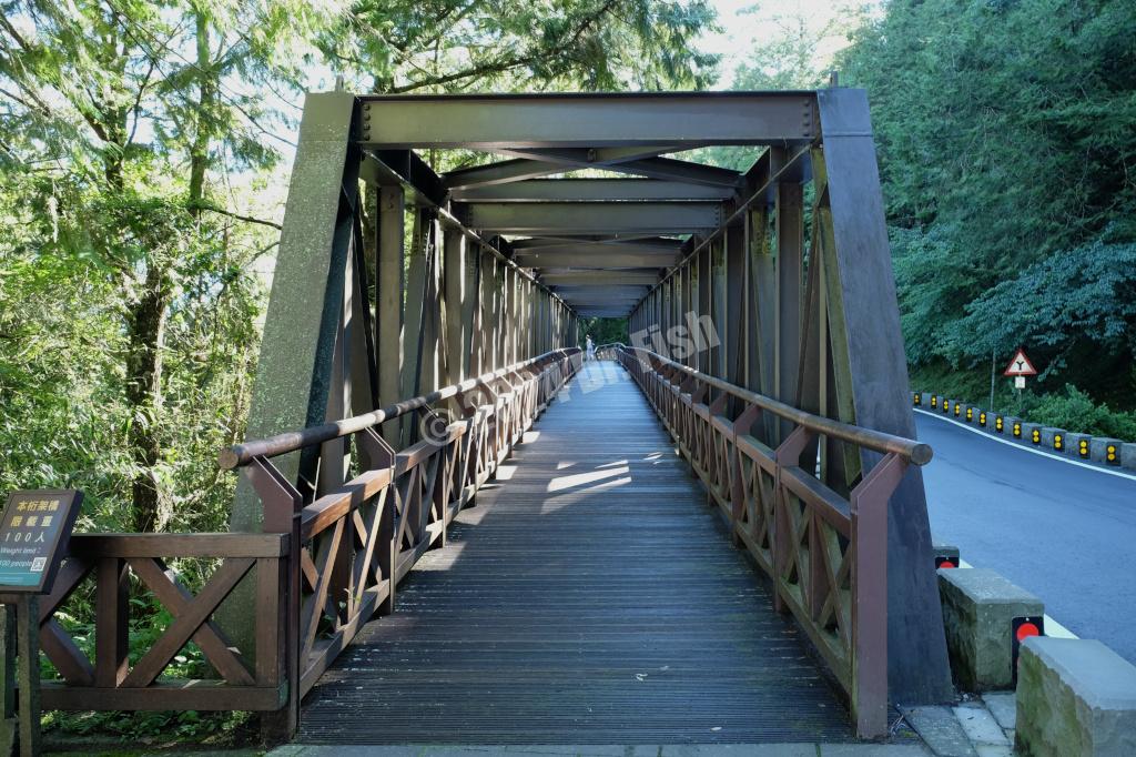 truss bridge on the forest trail in the Alishan National Forest Recreation Area