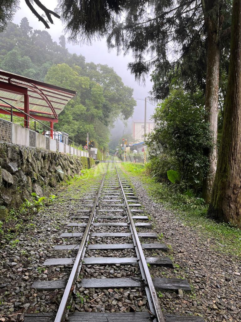 Alishan railway next to the entrance of the Fenqihu cedar wooden plank trail