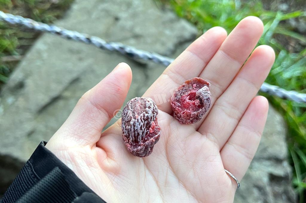 dried abelmosk given by a local guide at the sunrise observation spot close to Tefuye historic trail