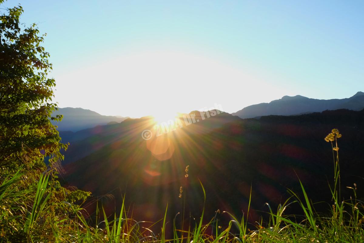 阿里山清晨：特富野古道自忠入口旁看日出、森之道漫步